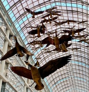 Canadian Moral Rights: Flight Stop, Toronto Eaton Centre